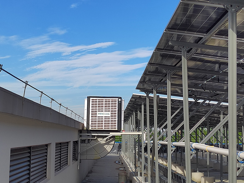 光明乳业